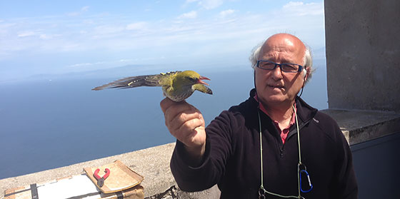 Capri Bird Obervatory